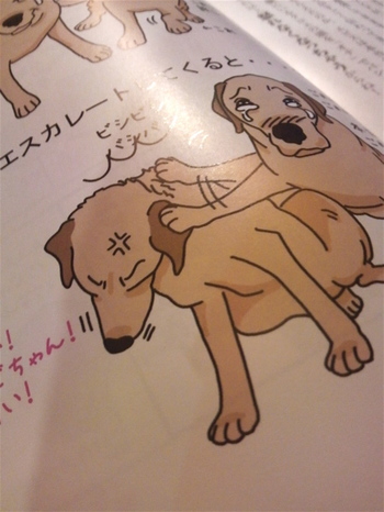 羊の国の2