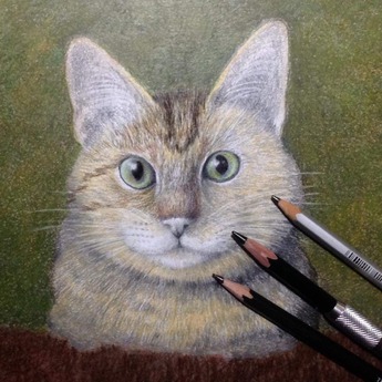 52854604_2197396490356432_1624098834525192192_n