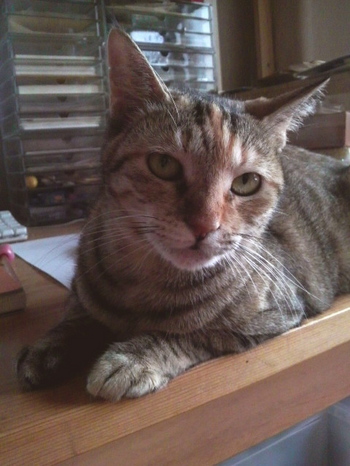 ちー090919.jpg