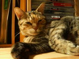 46a921cd.jpg