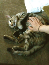 あは