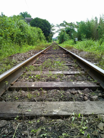 2012夏ロテン旅_02