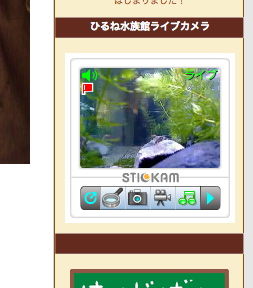 ひるね水族館ライブ始めました
