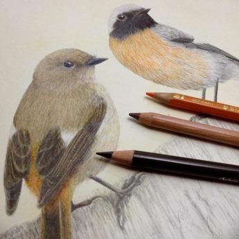 49748440_2132718970157518_7379243256116150272_n