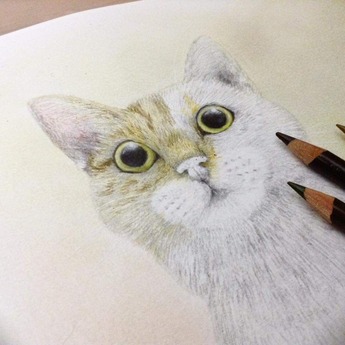 51650055_2172095879553160_8843722628972675072_n