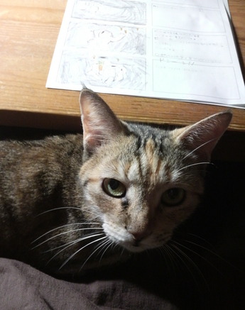 ちー120929