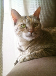 ちー090619.jpg
