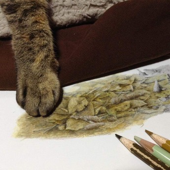 49060508_2117259675036781_5445354318930640896_n