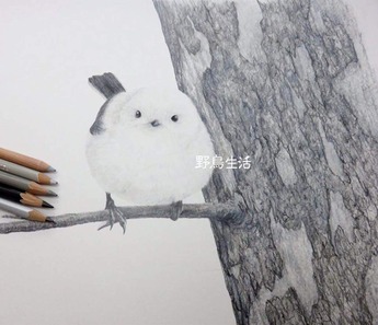 42919955_1994882727274477_4876467281892212736_n