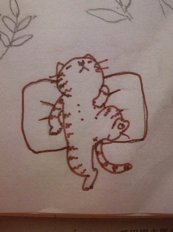 ダレねこ