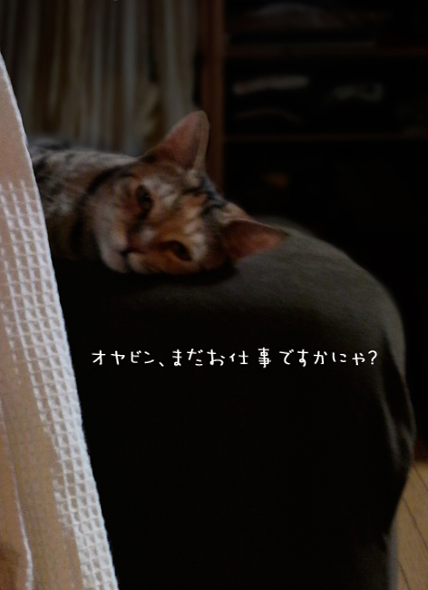 ����090817_1.jpg