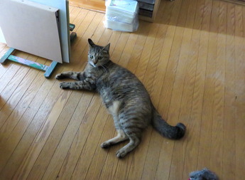 久しぶりのドテ