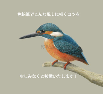 こんな風に描くコツを