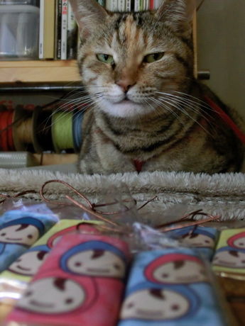 ねこ