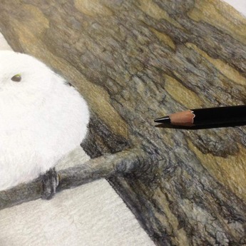 42920451_1997010403728376_5349049366764060672_n