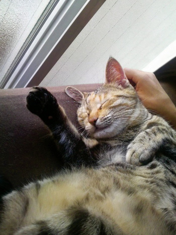 ち−090930.jpg
