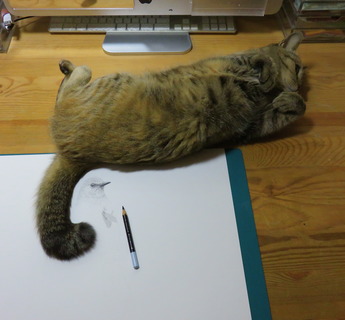 ���礦�Τͤ�20180602