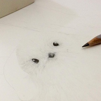 42734779_1993893810706702_2806467764489814016_n