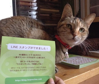 すたんぷちらし2