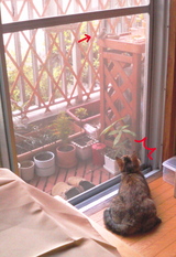 �������