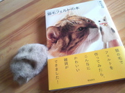 猫毛フェルトの本.jpg