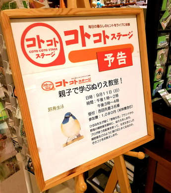 À¾µÜ¥³¥È¥³¥È¤Ì¤ê¤¨¶µ¼¼jpg