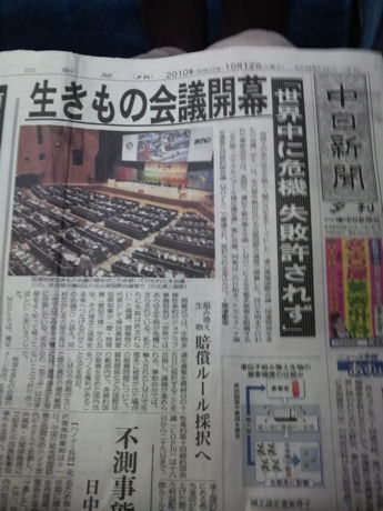 きもの会議2