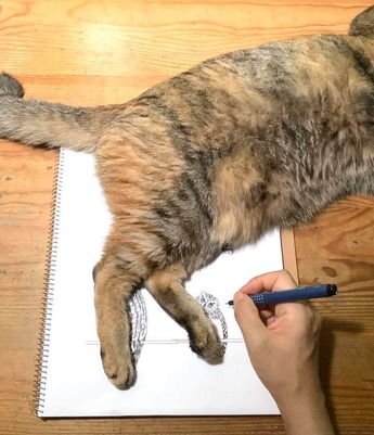 119058656_3355688397860563_3664176964035056260_n