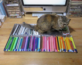 ねこがいろえんぴつに