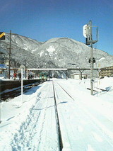 d407f62a.jpg