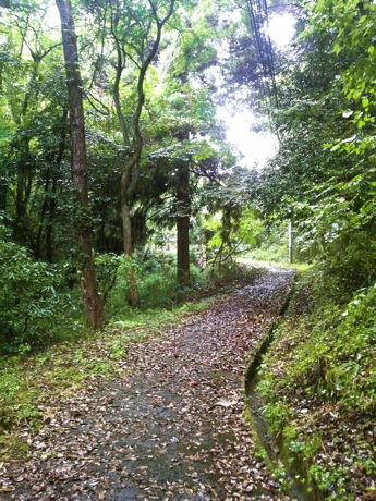 竹野山道