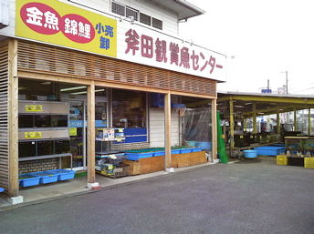 ひるね水族館がにぎやかに ラスポンチャス 作者のブログ ひるね水族館がにぎやかに ラスポンチャス 作者のブログ