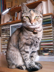 2008年ありがとう!