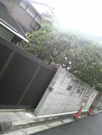 fe17b452.jpg