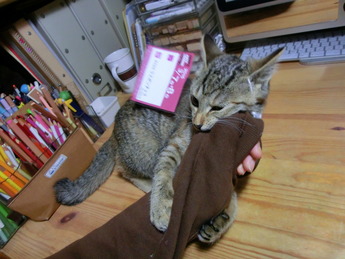 ばにゃーる6