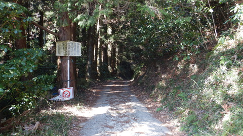 DSCN3299