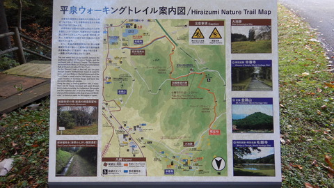 DSCN0537