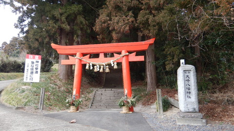 DSCN2619