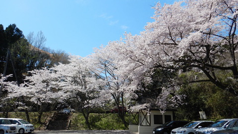 DSCN3239