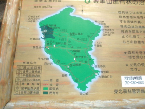 2010_04250306