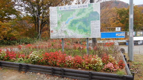 DSCN4511