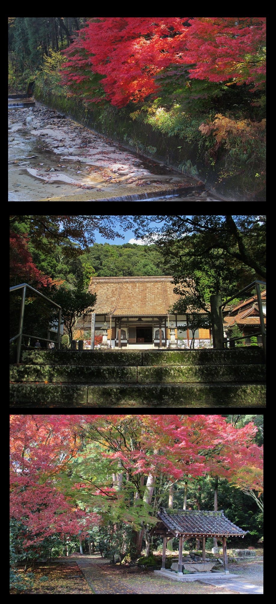 愛知県瀬戸市 雲興寺 紅葉 尾張のおじさんblog 愛知県瀬戸市 雲興寺 紅葉 尾張のおじさんblog