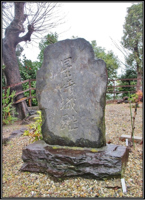 秋葉9