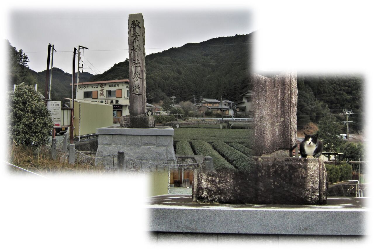 秋葉山本宮秋葉神社 上社 静岡県浜松市 尾張のおじさんblog 秋葉山本宮秋葉神社 上社 静岡県浜松市 尾張のおじさんblog