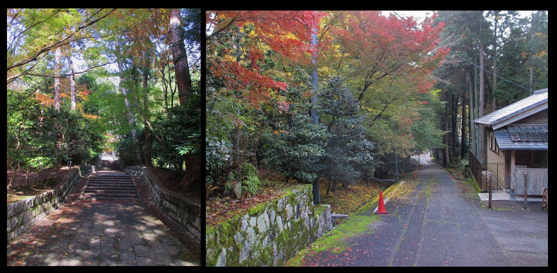 愛知県瀬戸市 雲興寺 紅葉 尾張のおじさんblog 愛知県瀬戸市 雲興寺 紅葉 尾張のおじさんblog