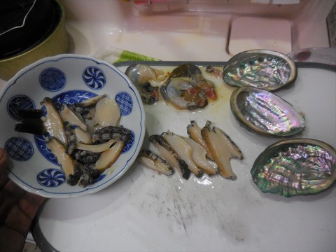 ジャーニー ふみ