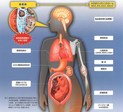 oralhealth_2011_02