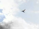 13072003
