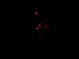 14061883