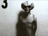 14041279